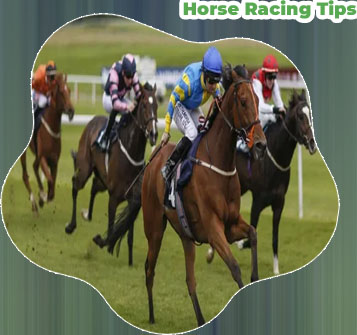 Best horse racing prediction site