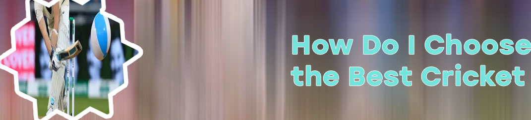 Best site for cricket betting