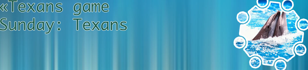Dolphins moneyline